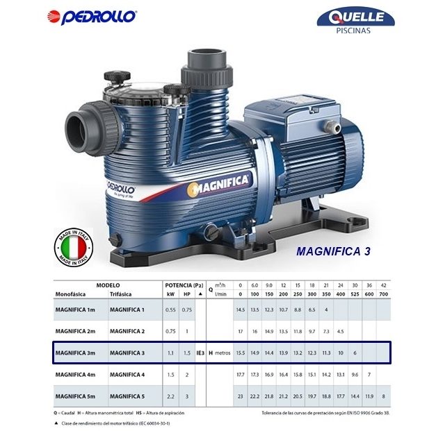 PEDROLLO Magnifica 4 de 2 HP - Bomba para piscinas