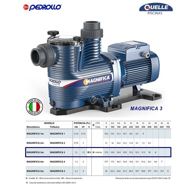 Combo 9: HAYWARD SwimClear C4030 + PEDROLLO Magnifica 3 (1,5 HP)