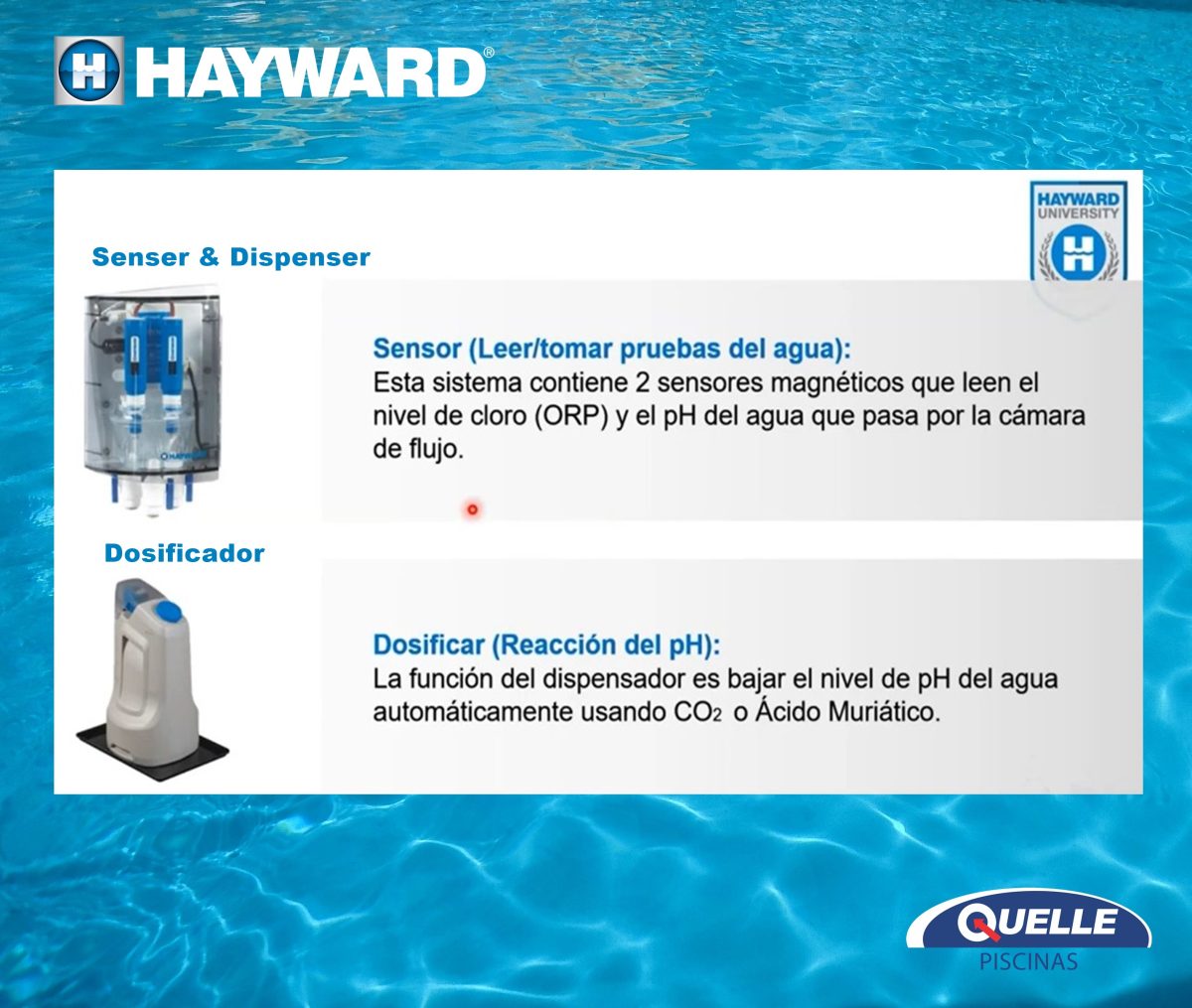 HAYWARD Omni PL - Domótica y Clorador Salino para Piscinas y Spas - 120.000 litros